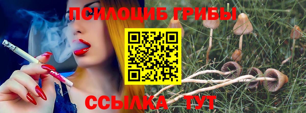 Анжеро-Судженск  Галлюциногенные грибы MAGIC MUSHROOMS  Вход с VPN 